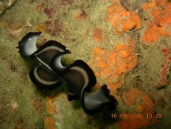 photo taken at indonesia batam by Bok Leng Tan 